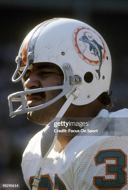 Running back Larry Csonka of the Miami Dolphins watches the action from the sidelines circa mid 1970's during an NFL football game. Csonka played for...