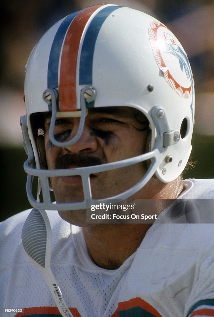 Miami Dolphins