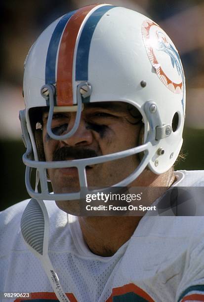 Running back Larry Csonka of the Miami Dolphins watches the action from the sidelines circa mid 1970's during an NFL football game. Csonka played for...