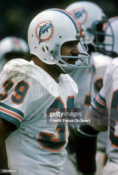 Running back Larry Csonka of the Miami Dolphins watches the action from the sidelines circa mid 1970's during an NFL football game. Csonka played for...