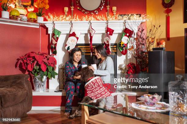 sisters with dog sitting on hearth decorated for christmas - women wearing black stockings stock pictures, royalty-free photos & images