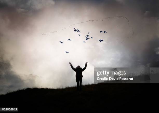 bird invocation - invocation stock pictures, royalty-free photos & images