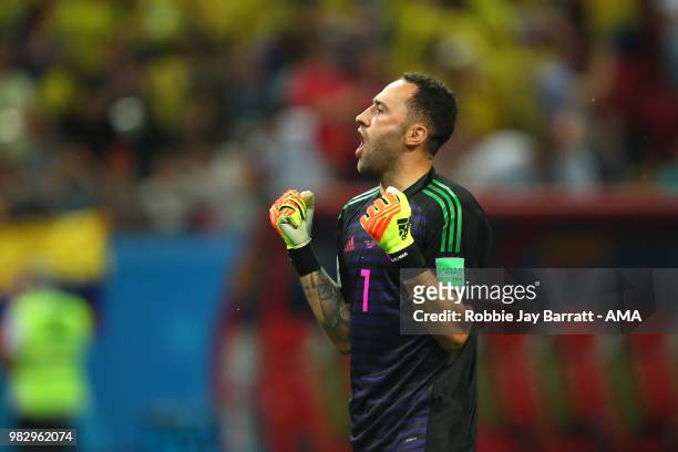 David Ospina of Colombia celebrates during the 2018 FIFA World Cup Russia group H match between Poland and Colombia at Kazan Arena on June 24, 2018...