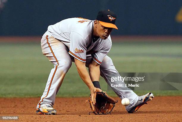 Infielder Cesar Izturis of the Baltimore Orioles fields a ground ball against the Tampa Bay Rays during the home opener game at Tropicana Field on...