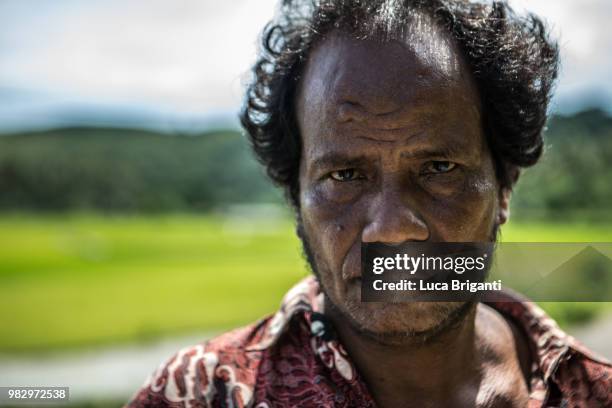 farmer - indonesian ethnicity stock pictures, royalty-free photos & images