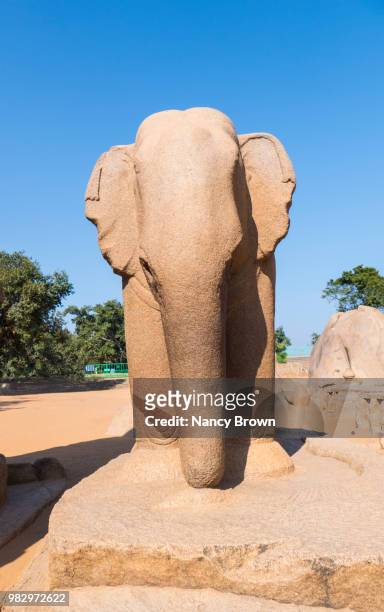 elephant statue in the mahabalipuram site india - circa 7th century stock pictures, royalty-free photos & images