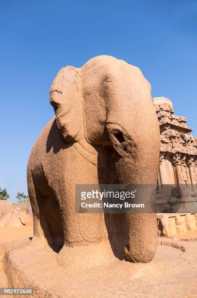 elephant statue in the mahabalipuram site india. - circa 7th century - fotografias e filmes do acervo