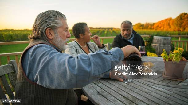 drei senioren freunde trinken rotwein auf dem weingut - alex potemkin or krakozawr stock-fotos und bilder