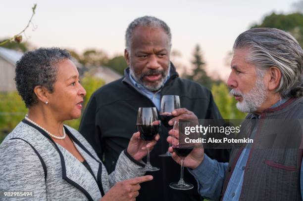 tres amigos cata el vino tinto de la bodega en long island, estado de nueva york, estados unidos. - alex potemkin or krakozawr fotografías e imágenes de stock