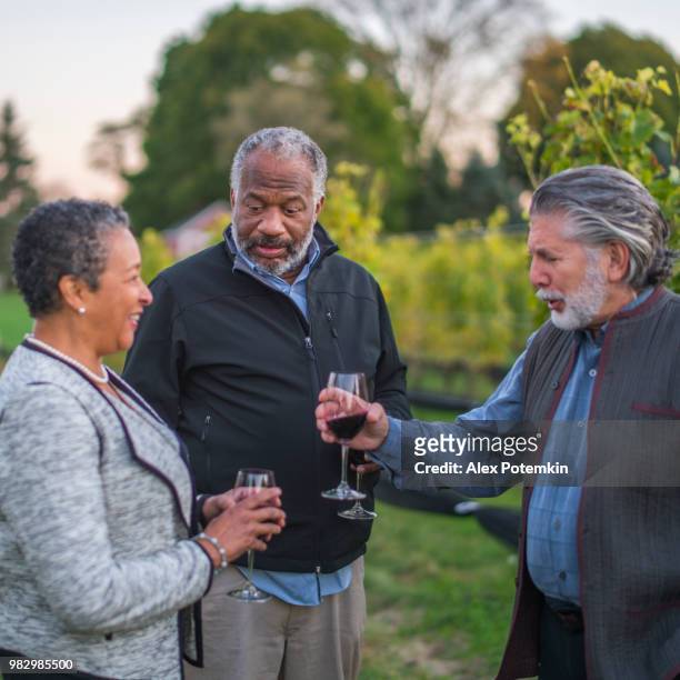 three friends tasting the red wine at the winery in long island, new york state, usa. - alex potemkin or krakozawr stock pictures, royalty-free photos & images