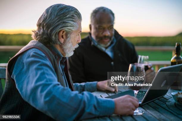 two senior men, caucasian white and black, discussing investments with laptop and drinking the wine at the winery - alex potemkin or krakozawr stock pictures, royalty-free photos & images