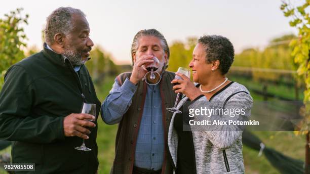 drei freunde trinken rotwein auf dem weingut in long island, new york state, usa. - alex potemkin or krakozawr stock-fotos und bilder