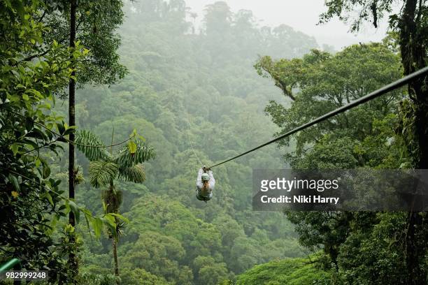 a person zip lining above a forest in costa rica. - costa rica stock pictures, royalty-free photos & images
