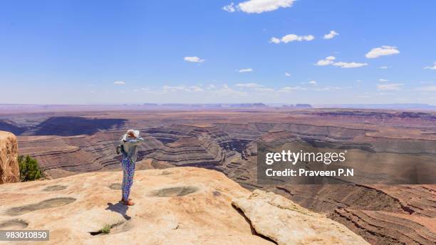 views from muley point overlook - mexican hat fotografías e imágenes de stock