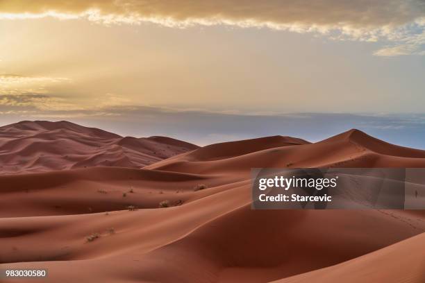 dunas de arena en el desierto del sahara - marruecos - desierto libio fotografías e imágenes de stock