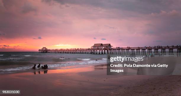 naples pier and calm ocean, florida - pola damonte stockfoto's en -beelden