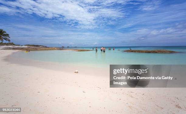 bahamas tropical beach scenery at nassau, caribbean. - pola damonte stockfoto's en -beelden