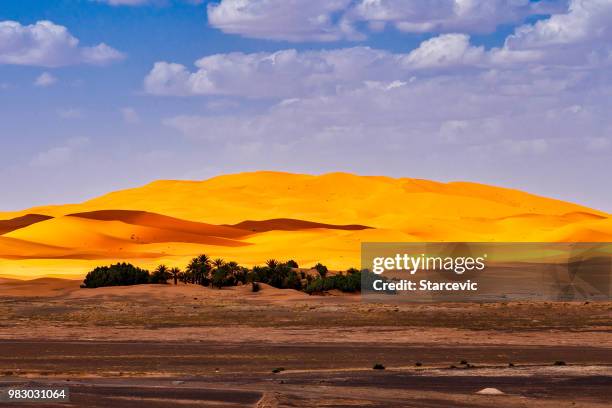 dunas de arena en el desierto del sahara - marruecos - desierto libio fotografías e imágenes de stock