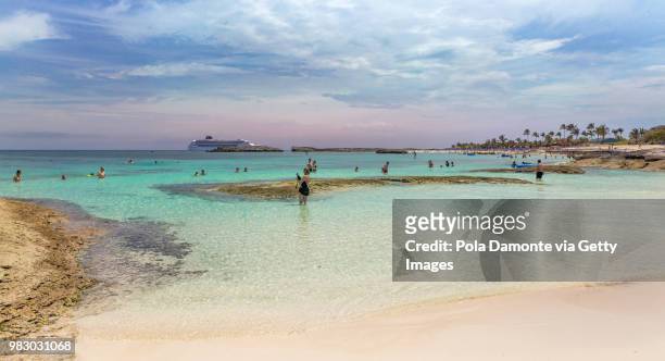 bahamas tropical beach scenery at nassau, caribbean. - pola damonte stockfoto's en -beelden