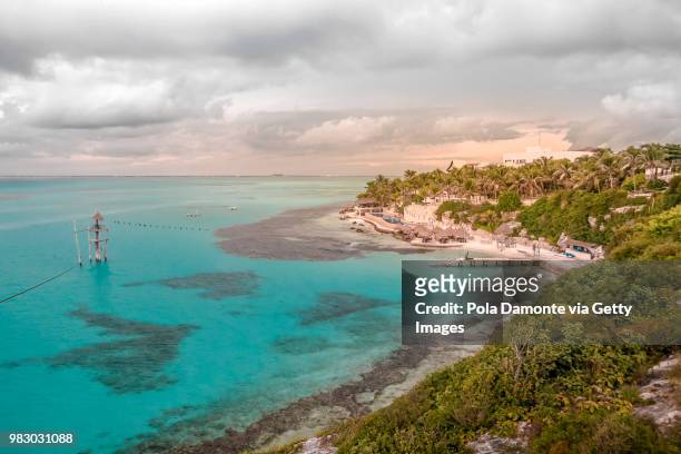 idyllic beach at isla mujeres in caribbean mexico - pola damonte stockfoto's en -beelden
