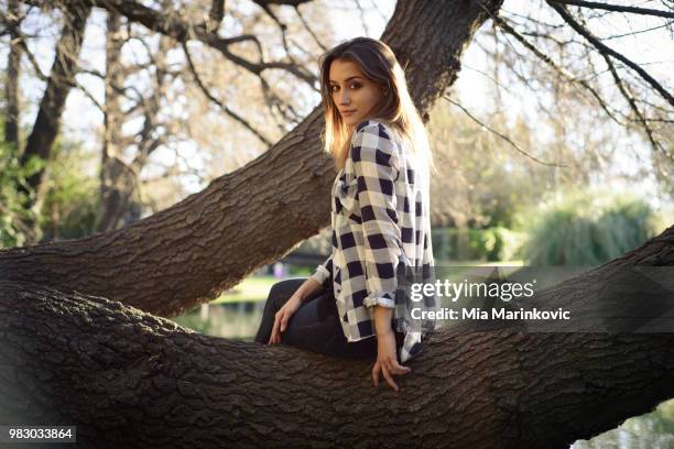 on the tree - mia woods stock pictures, royalty-free photos & images