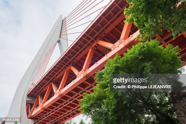 dongshuimen bridge with tree in chongqing - cable stayed bridge stock pictures, royalty-free photos & images