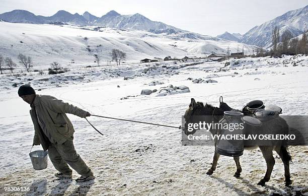 Kyrgyz's man pulls a donkey carrying churns with water at the Ala-Archa river near the village of Kashka-Suu, some 30 km outside Bishkek, on February...