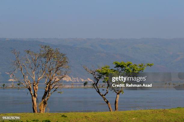 largest freshwater wetland in bangladesh - sylhet stock pictures, royalty-free photos & images