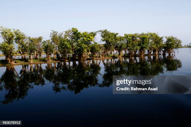 largest freshwater wetland in bangladesh - sylhet stock pictures, royalty-free photos & images