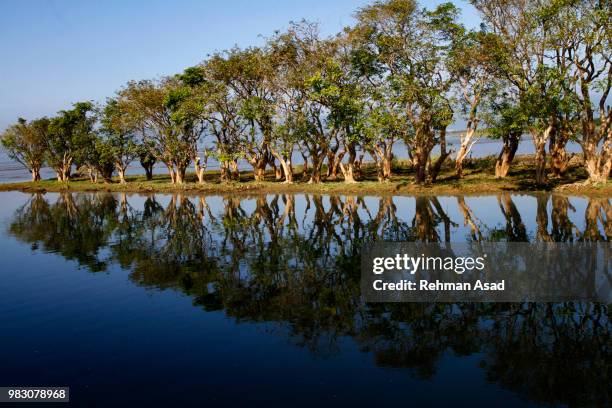 largest freshwater wetland in bangladesh - sylhet stock pictures, royalty-free photos & images