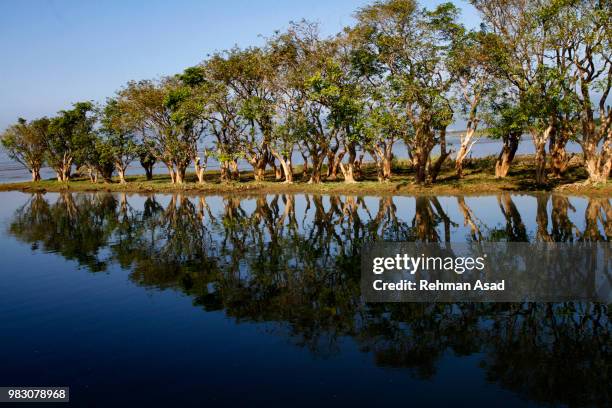 largest freshwater wetland in bangladesh - fish storage stock pictures, royalty-free photos & images