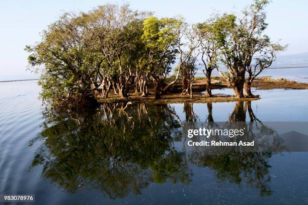 largest freshwater wetland in bangladesh - fish storage stock pictures, royalty-free photos & images