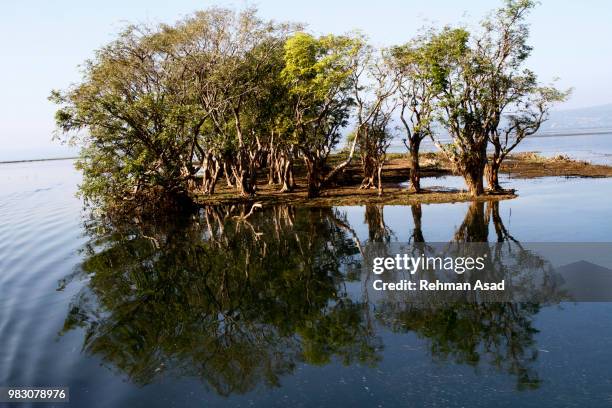 largest freshwater wetland in bangladesh - sylhet stock pictures, royalty-free photos & images