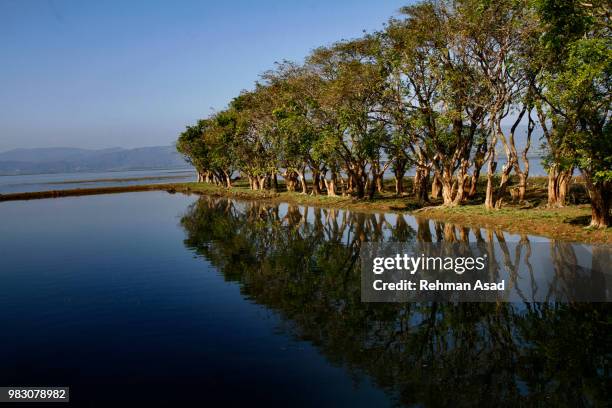 largest freshwater wetland in bangladesh - sylhet stock pictures, royalty-free photos & images