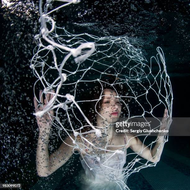 catching a mermaid woman with net underwater - arachnophobia stock pictures, royalty-free photos & images