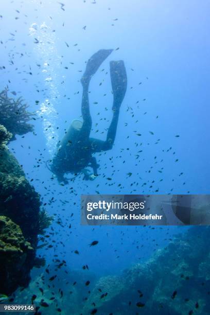 malaysia underwater - diving equipment stock pictures, royalty-free photos & images