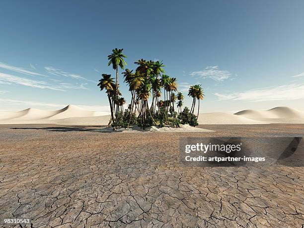 oasis with palms in the desert - survival concept stock pictures, royalty-free photos & images