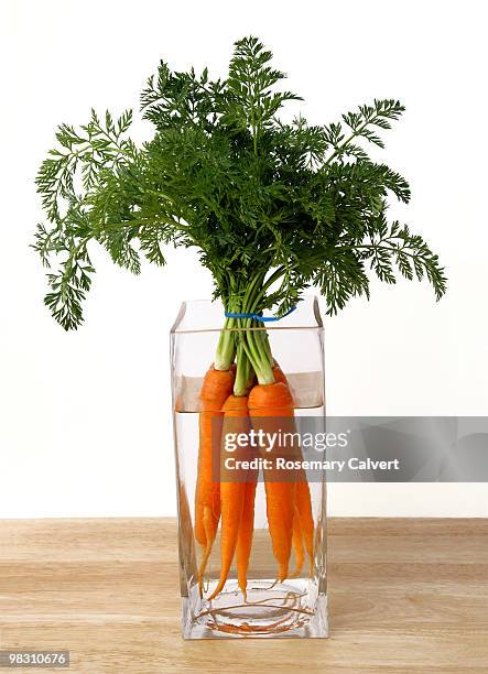bunch of fresh carrots in vase of water. - haslemere stock pictures, royalty-free photos & images