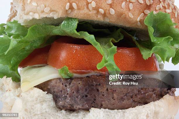 hamburger on sesame bun - sesame seed bun stock pictures, royalty-free photos & images