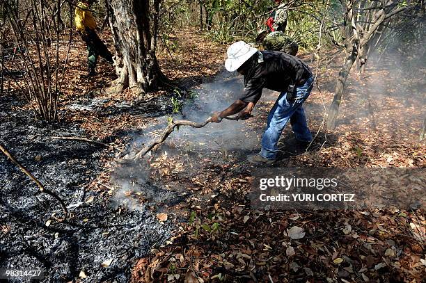 Members of a firefrigade fight a forest fire at the Palo Verde National Park on April 7, 2010 in Guanacaste, some 220 kilometers northeast from San...