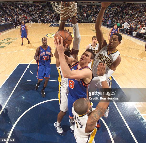 Danilo Gallinari of the New York Knicks battles Danny Granger and Earl Watson of the Indiana Pacers at Conseco Fieldhouse on April 7, 2010 in...