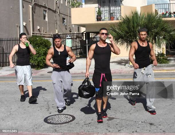The Jersey Shore' cast members Vinny Guadagnino, Ronnie Ortiz-Magro, Michael 'The Situation' Sorrentino and Paul "Pauly D" DelVecchio are seen on...