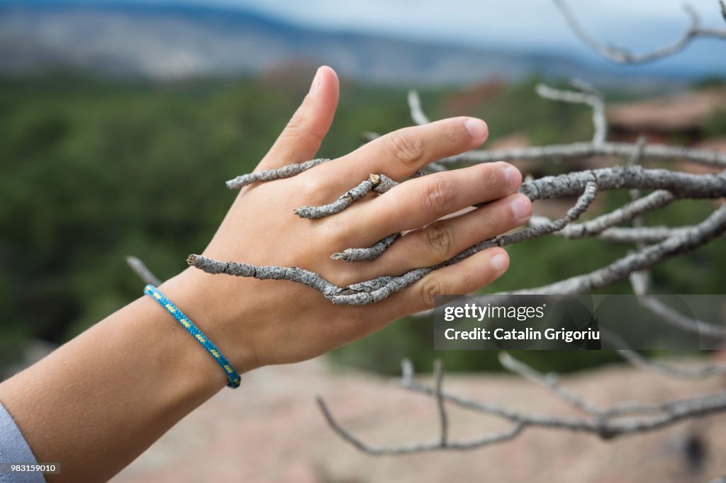 Handshake with a tree