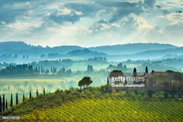 paisaje con viñedo en la toscana, italia - tuscany fotografías e imágenes de stock