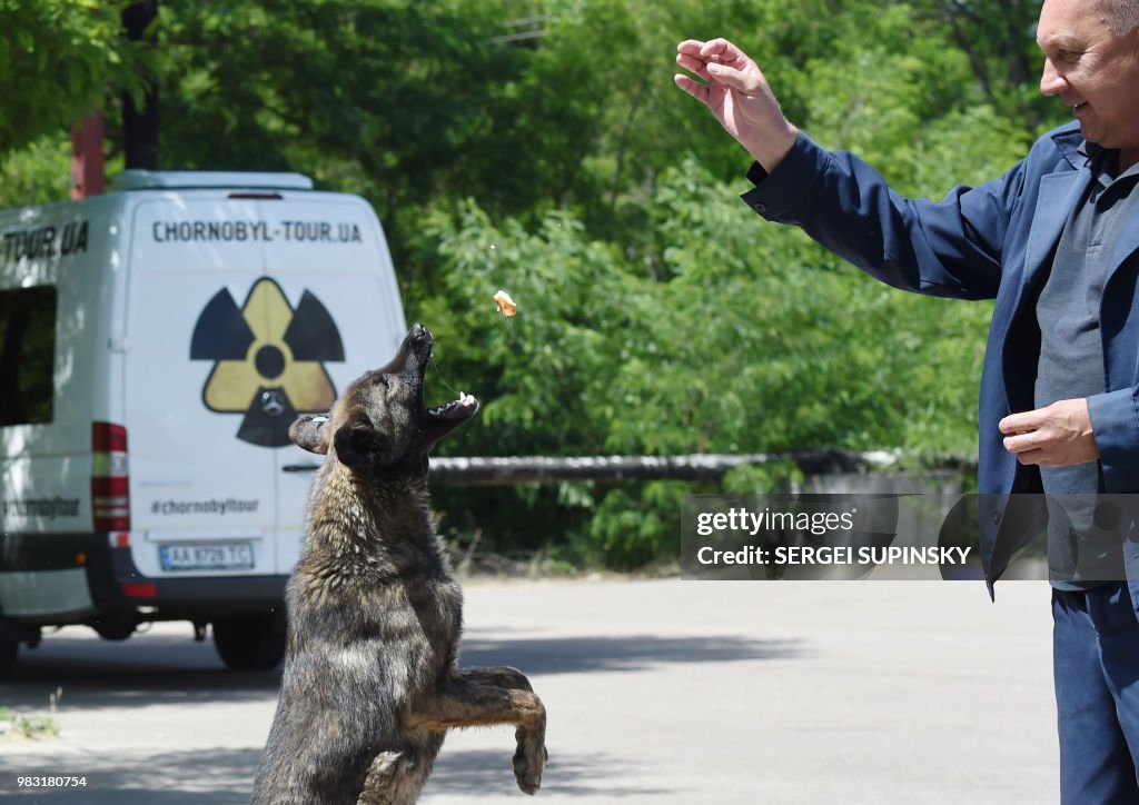 UKRAINE-CHERNOBYL-ANIMALS-STRAY-DOGS