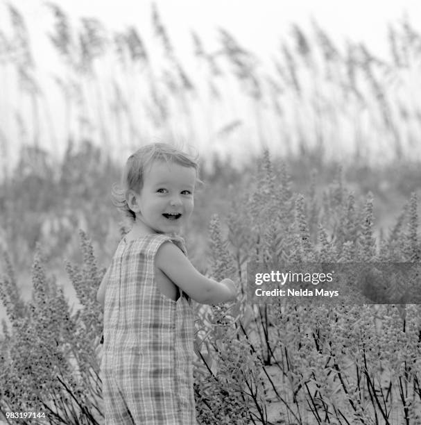 noah j b & w nc - j mays stock pictures, royalty-free photos & images