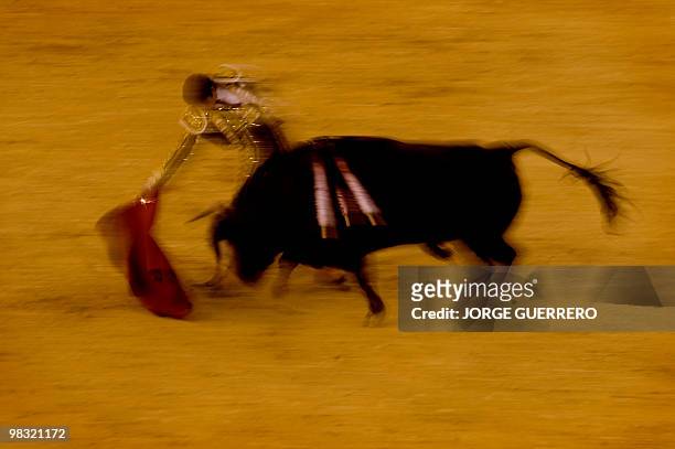 French matador Sebastien Castella performs a pass with muleta during a bullfight at the Malagueta bullring on April 4, 2010 in Malaga, southern...