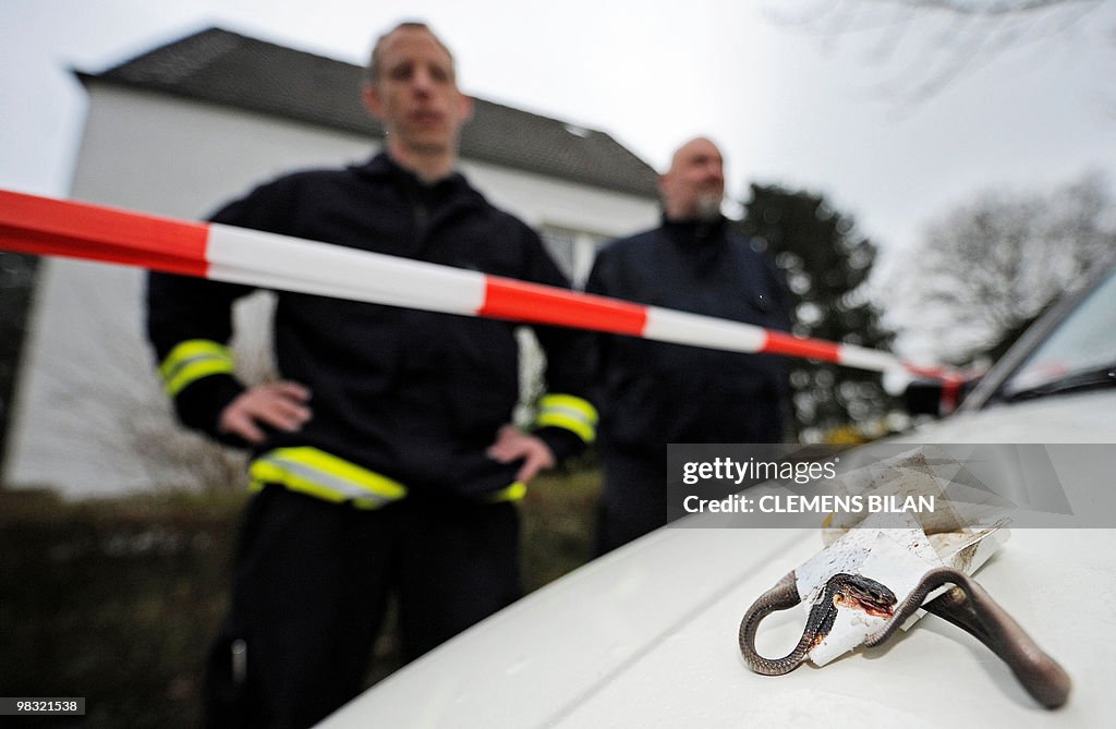 Two policemen stand next to a dead venom