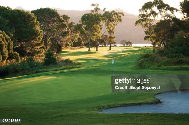 9th green with 10th hole in background - golfbana bildbanksfoton och bilder