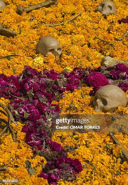 Picture of an Altar of the Dead made with skulls and a carpet of cempasuchil flowers, taken at the National Autonomous University of Mexico in Mexico...